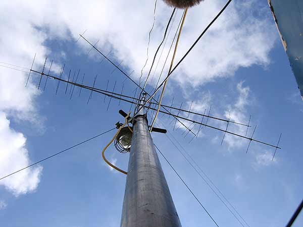 Click to see next picture