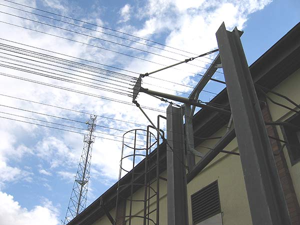 Click to see next picture