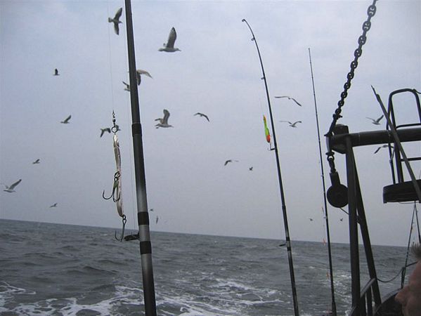 Click to see next picture